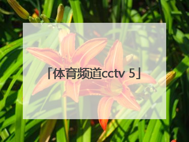 「体育频道cctv 5」体育频道杨迪个人资料