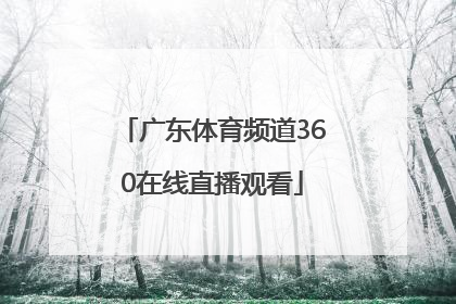 「广东体育频道360在线直播观看」广东体育频道粤语在线直播