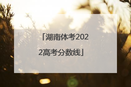 湖南体考2022高考分数线