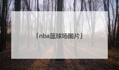 「nba篮球场图片」NBA绿军篮球场图片