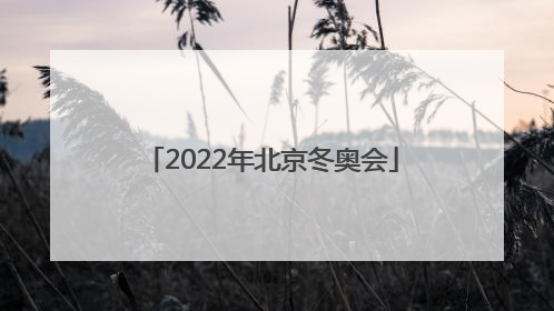 「2022年北京冬奥会」2022年北京冬奥会吉祥物