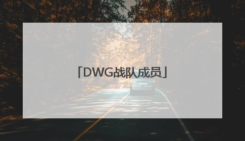 「DWG战队成员」dwg战队成员2021